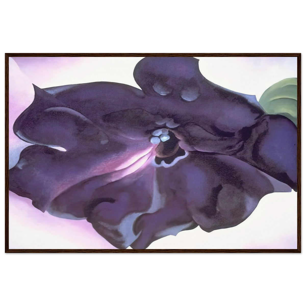 Petunia Framed Poster | Georgia O'Keeffe Framed Prints Wall Art | Georgia O Keeffe Prints