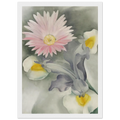 Pink Daisy with Iris Framed Poster | Georgia O'Keeffe Framed Prints Wall Art | Georgia O Keeffe Prints