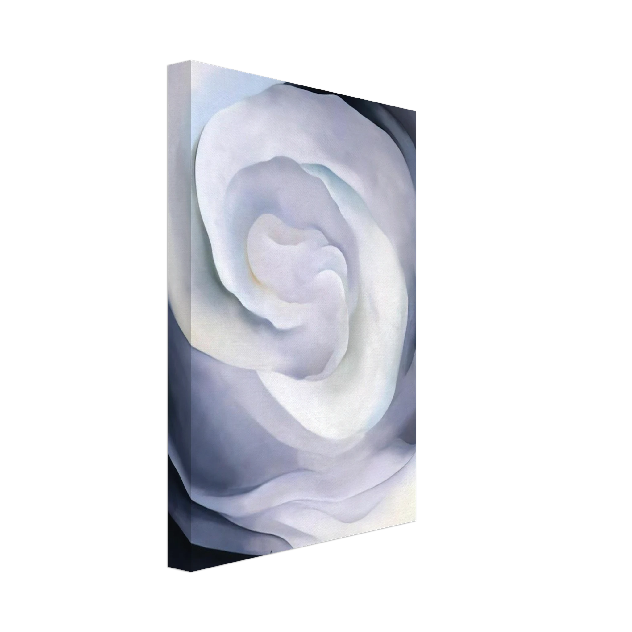Abstraction White Rose Canvas | Georgia O'Keeffe Canvas | Georgia O Keeffe Prints