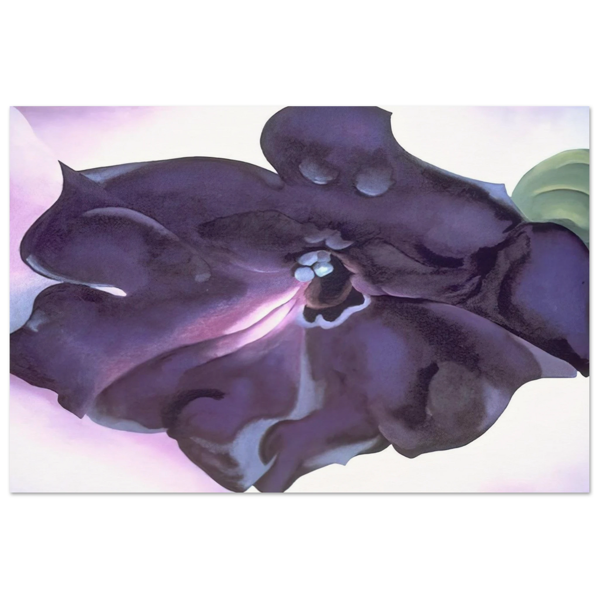 Petunia Poster | Georgia O'Keeffe Poster | Georgia O Keeffe Prints