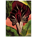 Jack-in-the-Pulpit II Poster | Georgia O'Keeffe Poster | Georgia O Keeffe Prints